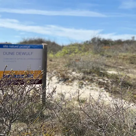Tres Belle - Duplex Entre Dune Et - Malo Les Bains *